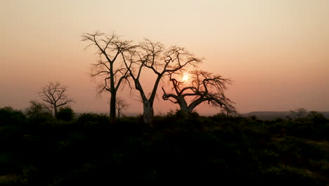Hochreisen,-Angola,-Afrika,-Sonnenuntergang-Bei-Baoba