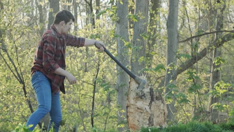 Powerful-slow-motion-shot-of-a-lumberjack-swinging-an-axe-overhead-and-sticking-it-into-a-tree-stump