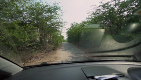 Driving-in-the-ancient-ruins-through-the-forest-in-Punjab,-Pakistan