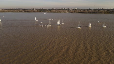View-of-several-white-sailboats-on-a-wide-river-sailing