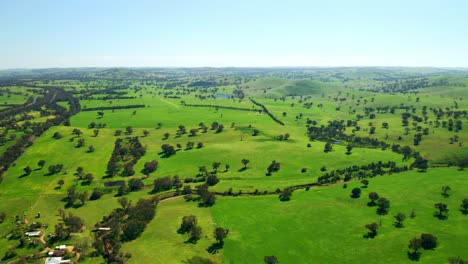Panoramablick-Auf-Die-Natürliche-Grüne-Landschaft-Im-Nördlichen-Territorium-Von-Alice-Springs-In-Australien