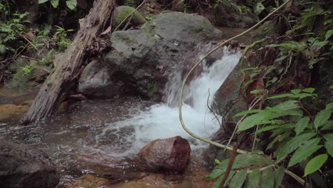 Gebirgsfluss-Im-Tropischen-Regenwald