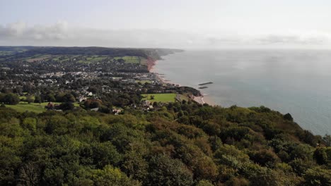 Aerial-Over-Trees-With-Sidmouth-In-the-Background-In-Devon