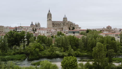 Distant-View-Of-The-Salamanca-Cathedral-From-The-Viewpoint-Of-Tormes-River-In-Salamanca,-Spain