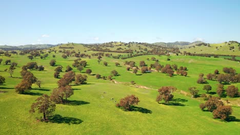 Green-Countryside-And-Rolling-Hills-In-Australian-Outback-During-Summer