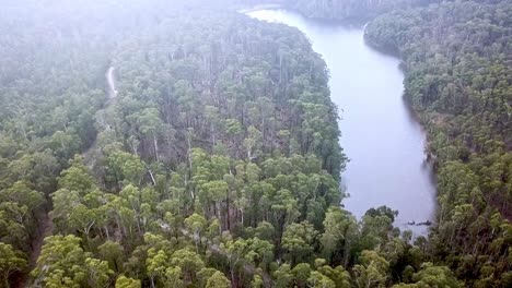 Aerial-footage-forest-with-fallen-trees-next-to-the-Wombat-Creek-Dam,-Bullarto,-after-a-storm-on-10-June,-2021,-Victoria,-Australia