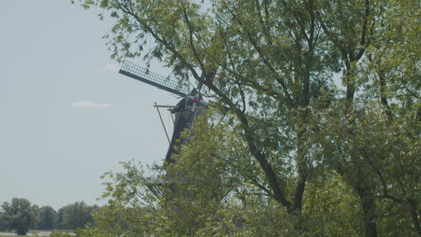 Eine-Schöne-Klassische-Windmühle-Mit-Sich-Drehenden-Blättern,-Die-Hinter-Grünen-Bäumen-In-Den-Niederlanden-Versteckt-Sind