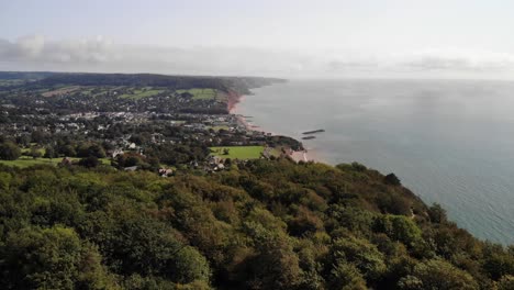 Aerial-Over-Trees-With-Sidmouth-in-the-Background
