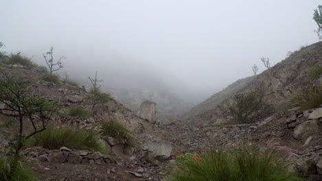 Blick-Auf-Eine-Friedliche-Felslandschaft-Im-ökologischen-Park-In-La-Molina-Lima-Peru