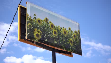 Sonnenblumenkunstwerk-Stadtwandbild-Mit-Blauem-Himmel
