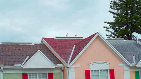 Birds-on-top-of-a-house-roof-in-Florida-on-an-overcast-day-during-hurricane-season
