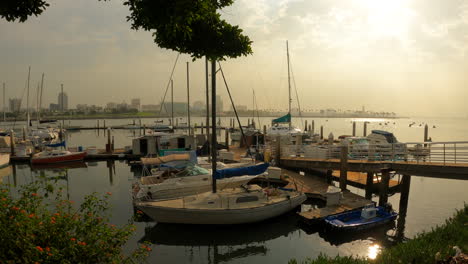 Sailboats-docked-in-the-harbor-with-the-sunset-reflecting-off-the-surface-of-the-still-ocean-waters---sliding-view