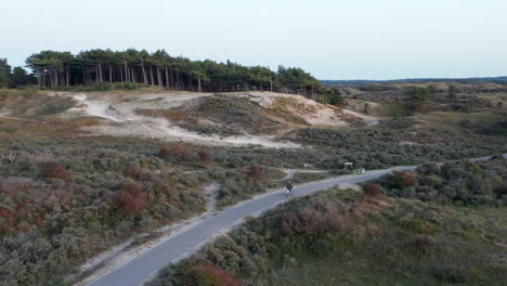 Tourist-Rides-On-A-Bike-Within-The-Zuid-Kennemerland-National-Park-In-North-Holland