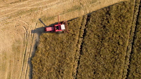 Blick-Von-Oben-Auf-Das-Grasschneiden-Auf-Einem-überwucherten-Feld-Mit-Einem-Kleinen-Traktor