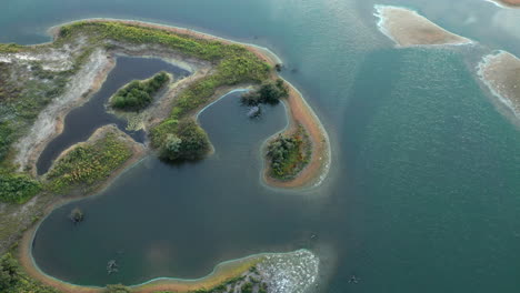 Kleine-Insel-Inmitten-Der-Wasserlandschaft-Des-Vogelmeeres-Im-Nationalpark-Zuid-kennemerland-In-Den-Niederlanden