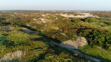 Zerklüftete-Landschaft-Der-Holländischen-Düne-In-Noordwijk,-Südholland