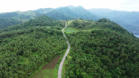Narrow-Mountain-Pass-Amidst-The-Green-Forest-Of-Caningag-Mountain-In-Southern-Leyte,-Philippines