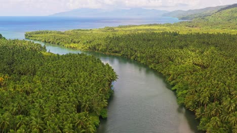 Panorama-De-La-Plantación-De-Cocoteros-Con-Río-Y-Paisaje-Marino-En-El-Sur-De-Leyte-En-La-Isla-Visayan-De-Filipinas