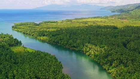 Kokosnussbaumplantage-Mit-Fluss,-Der-Blaues-Meer-In-Leyte,-Philippinen-übersieht