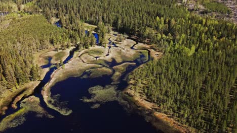 Lake-Surrounded-By-Lush-Vegetation-In-Appelbo,-Dalarna,-Sweden---aerial-shot