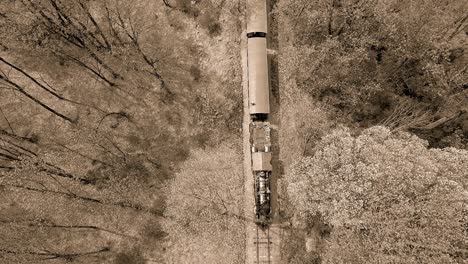 A-Black-and-White-Aerial-View-of-an-1860's-Steam-Passenger-Train-Traveling-Thru-a-Wooded-Area-on-a-Lonely-Single-Track