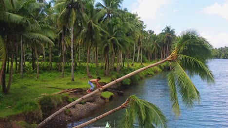 Young-Man-Climb-On-Slanted-Coconut-Tree-Over-Calm-River-In-Southern-Leyte,-Visayas-Region,-Philippines