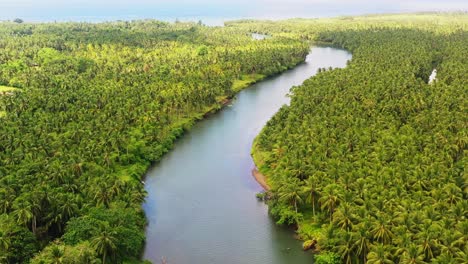 Tropical-River-Flowing-Through-Endless-Dense-Forest-Woods-At-Saint-Bernard-Province-Of-Southern-Leyte,-Philippines