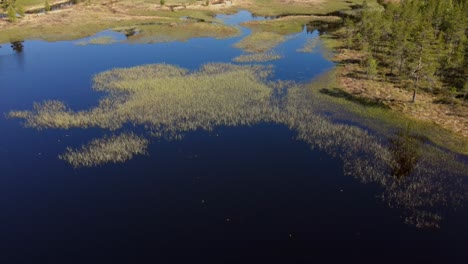 Lago-Sereno-Con-Reflejos-Durante-El-Verano-En-El-Bosque-Cerca-De-Appelbo-En-El-Condado-De-Dalarna,-Suecia