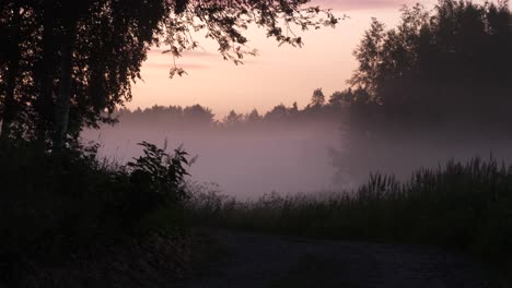 Mist-rising-in-early-morning-forestry-landscape-near-gravel-road,-static-view