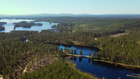 Tranquil-Lake-With-Lush-Vegetation-In-Busjon,-Dalarna,-Sweden---aerial-shot