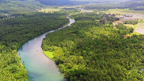 Fluss,-Umgeben-Von-Dichten-Kokospalmen-In-Der-Nähe-Des-Dorfes-Saint-Bernard-In-Southern-Leyte,-Philippinen
