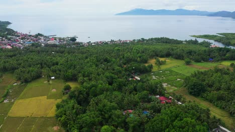 Farmlands-Amidst-Green-Forest-And-The-Coastal-Town-of-Saint-Bernard-In-Southern-Leyte,-Philippines