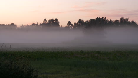 Time-lapse-of-Eerie-Morning-mist-sweeping-over-Rural-field