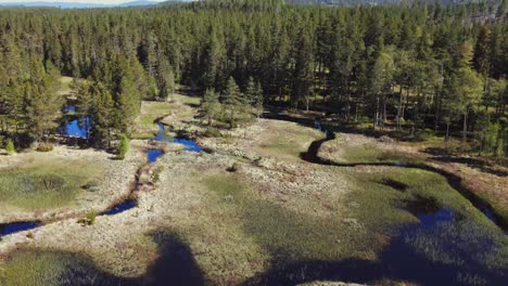 Aerial-View-Of-Coniferous-Forest-And-Lake-In-Rural-Dalarna,-Sweden---drone-shot