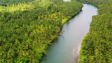 Aerial-View-Of-Stream-Between-Coconut-Trees-Near-Saint-Bernard-Village-In-Southern-Leyte,-Philippines