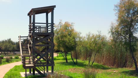 Gimbal-crane-shot-walking-towards-a-wooden-tower-tree-stand-with-viewing-point-on-a-sunny-day-in-park