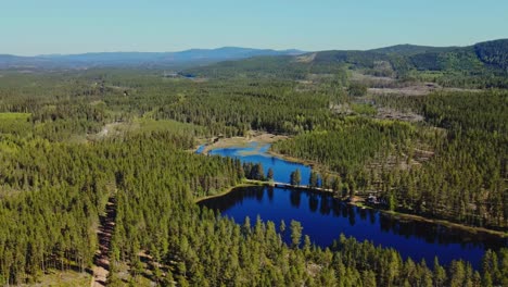 Lago-Tranquilo-Con-Reflejo-Y-Vegetación-Exuberante-En-Dalarna,-Suecia---Toma-Aérea-De-Drones