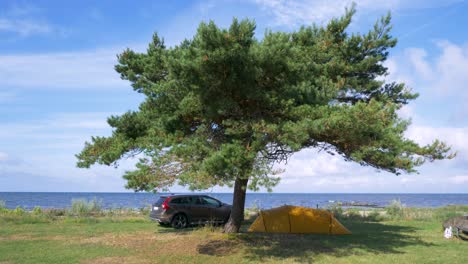 Beautiful-camping-spot-right-next-to-the-sea,-Öland-Sweden
