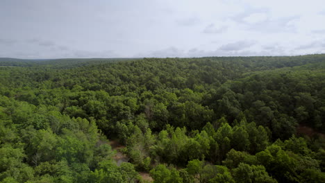 Push-forward-over-a-lush-green-forest-in-southern-Missouri-on-a-pretty-summer-day