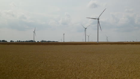 Rotierende-Windturbinen-Auf-Goldenen-Feldern-Während-Der-Sommerbrise