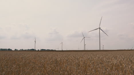 Wind-turbines-across-a-yellow-wheat-field-on-cloudy-day-in-Poland-countryside