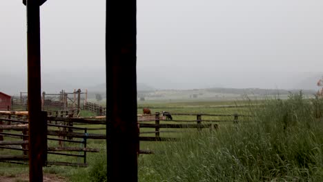 Summer-Colorado-Pasture-Fence-grass-blowing-in-the-wind