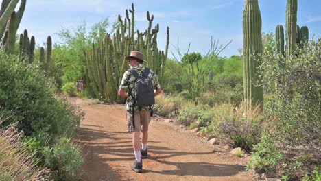 Blick-Hinter-Einen-Mann-Mit-Braunem-Hut,-Der-Durch-Den-Wüstengarten-In-Arizona-Geht