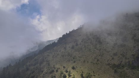Tire-Del-Frente-Sobre-Las-Tierras-De-Pastoreo-En-Un-Día-De-Niebla