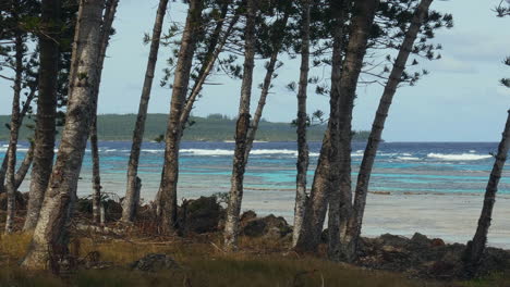 Trees-waving-in-the-wind,-while-waves-hit-the-coast-of-Loyalty-islands---Pan-view