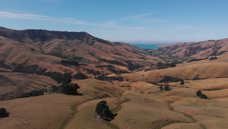 Panoramic-drone-flight-over-grassy-hillside-in-New-Zealand´s-countryside,-fields-and-pastures-on-a-sunny-summer-day-in-4K