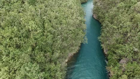 Eine-Neue-Aufnahme-Des-Flusses-Bojo-In-Der-Provinz-Aloguinsan-In-Cebu