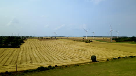 Luftaufnahme-Von-Effizienten-Und-Umweltfreundlichen-Windkraftanlagen-Auf-Dem-Gelben-Weizenfeld-In-Polen