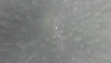 Zenitblick-über-Den-Nebel-über-Wald-Und-Fluss