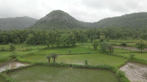 Montañas-Verdes-Y-Campo-De-Arroz-Fam-Bajo-La-Lluvia-En-Manor-Maharashtra-India